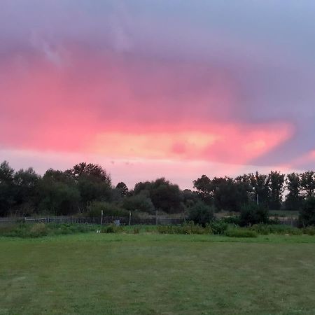Agroturystyka Tam Gdzie Sosny Ścinawka Dolna Eksteriør billede