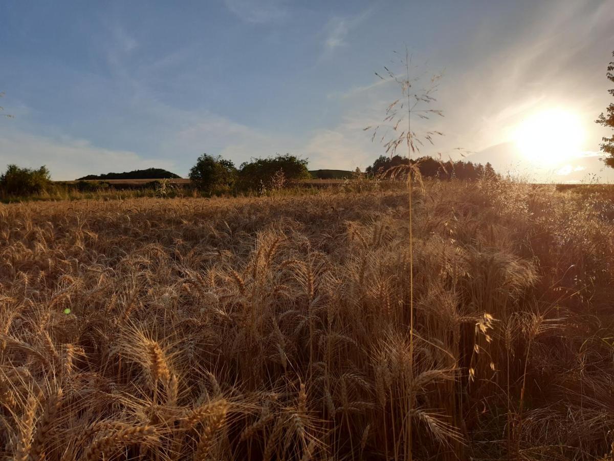 Agroturystyka Tam Gdzie Sosny Ścinawka Dolna Eksteriør billede