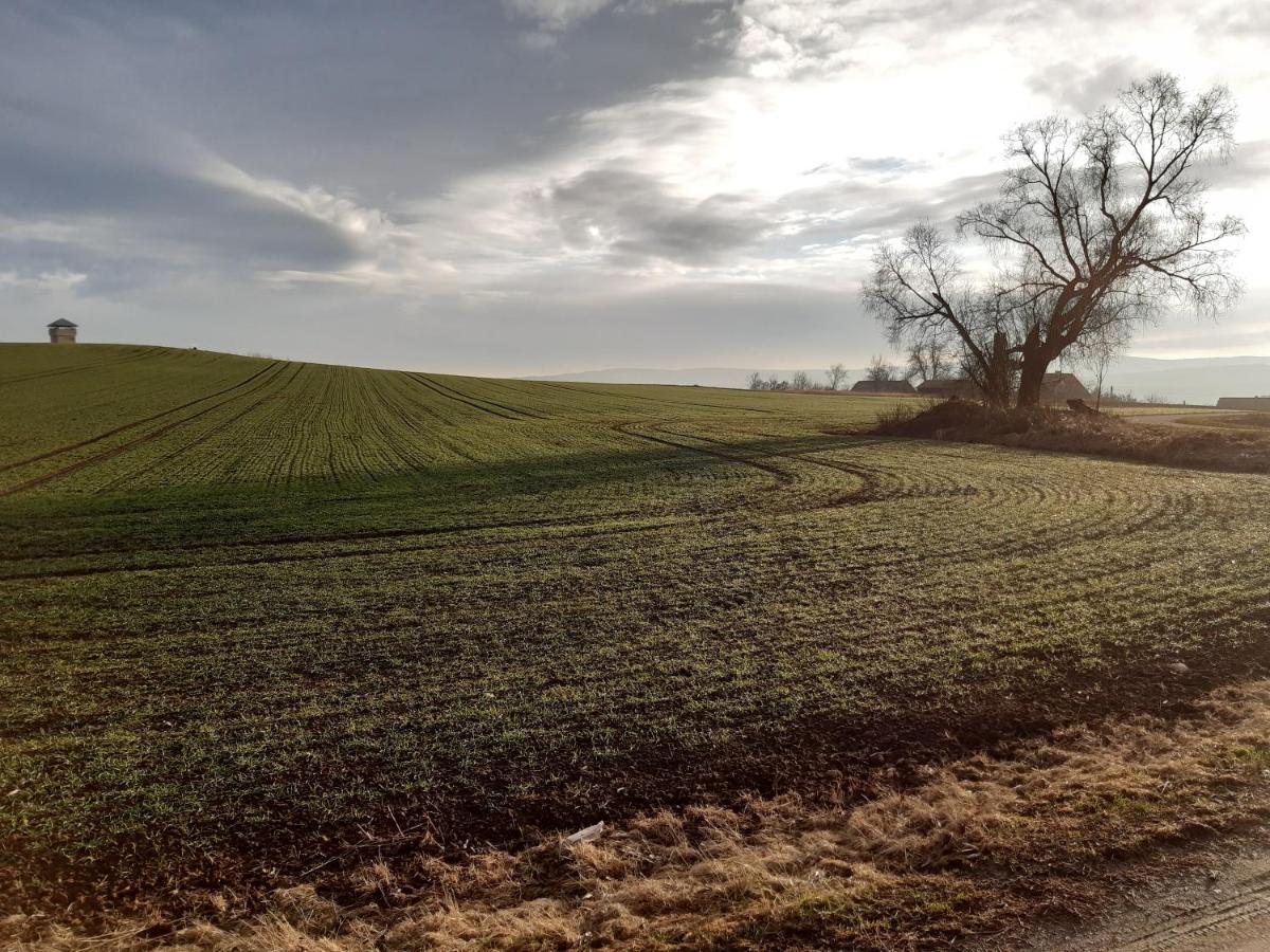 Agroturystyka Tam Gdzie Sosny Ścinawka Dolna Eksteriør billede