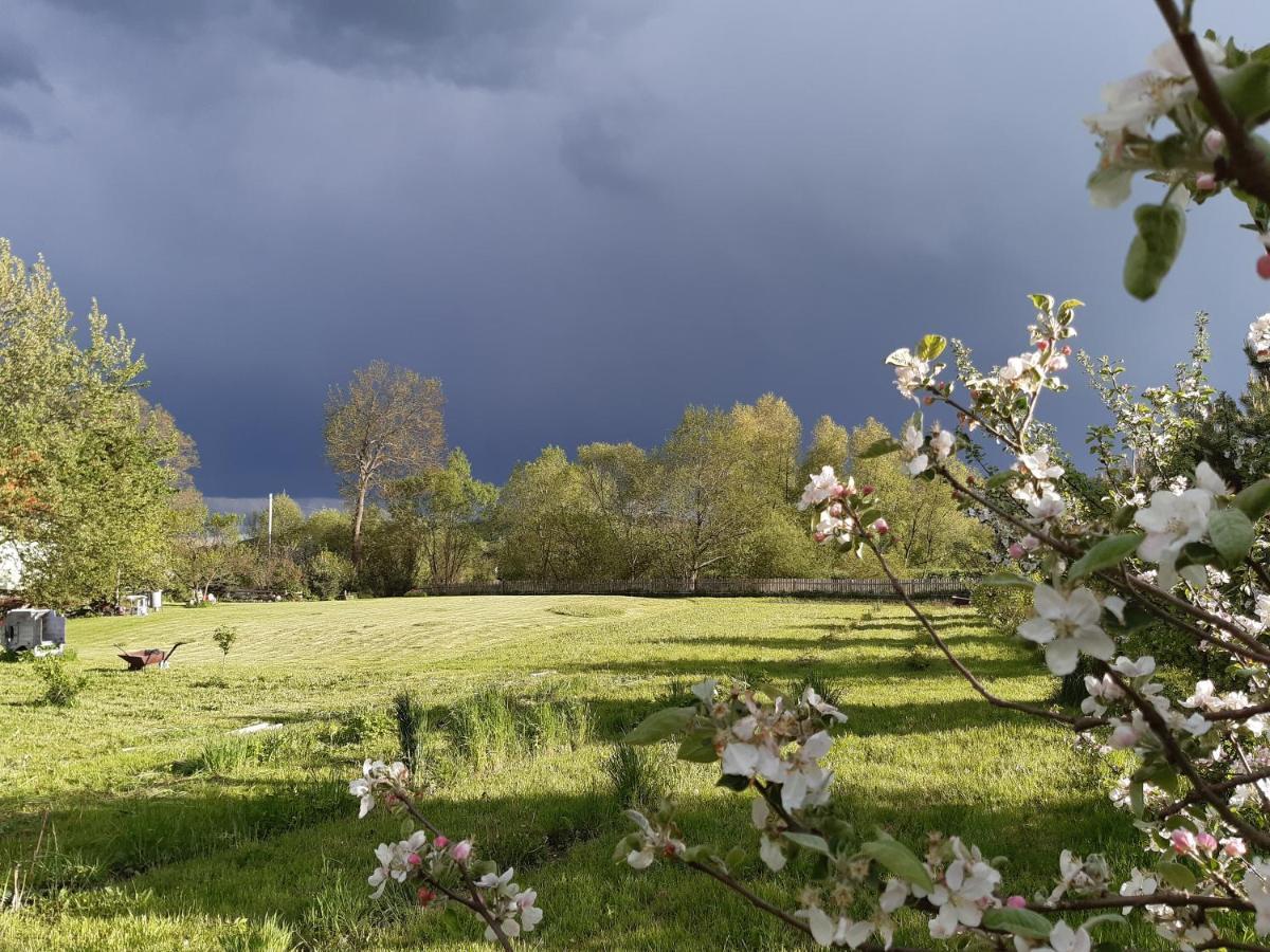 Agroturystyka Tam Gdzie Sosny Ścinawka Dolna Eksteriør billede