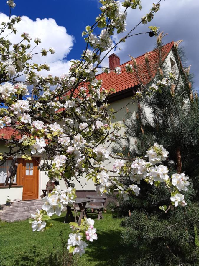 Agroturystyka Tam Gdzie Sosny Ścinawka Dolna Eksteriør billede