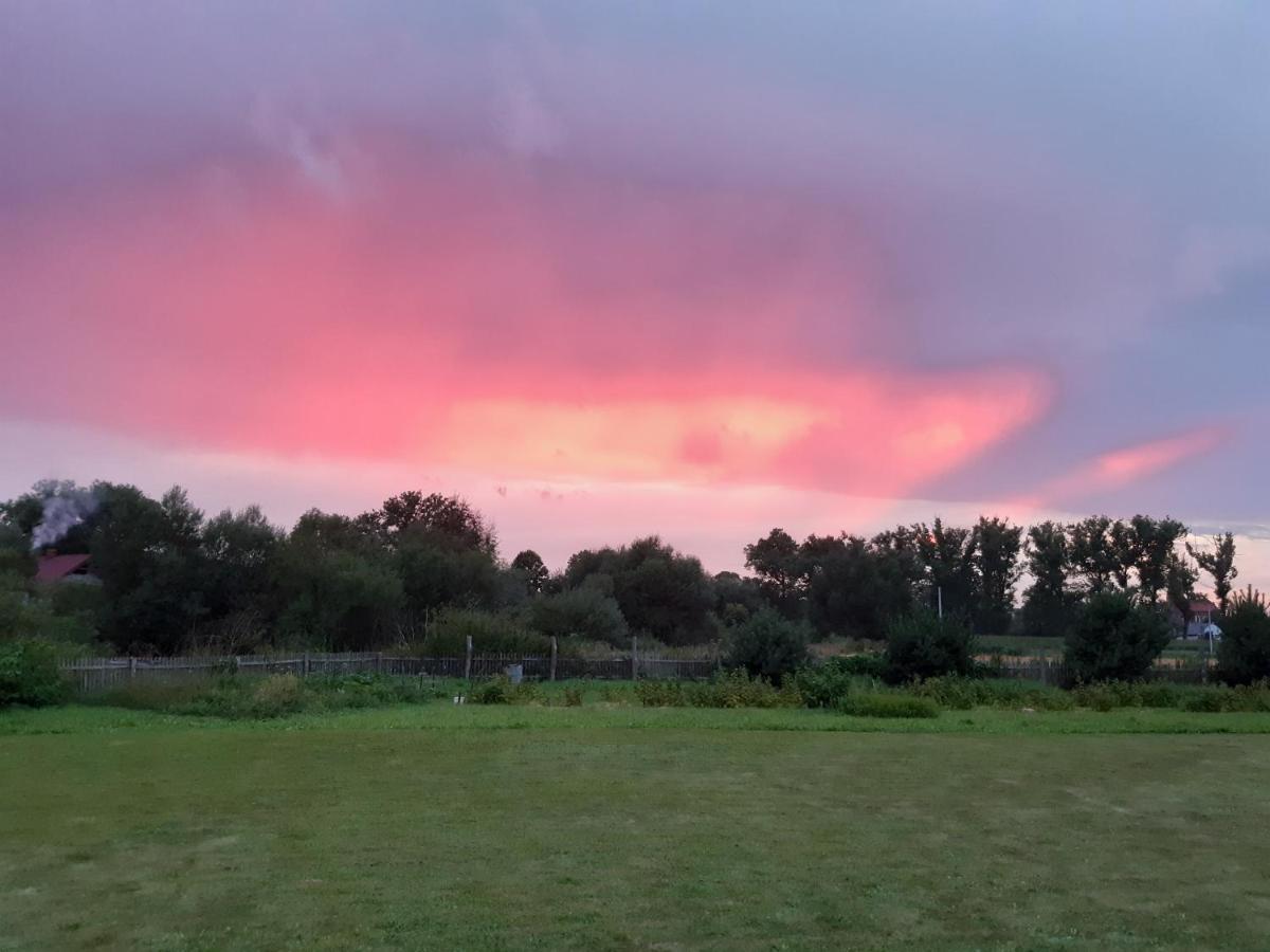 Agroturystyka Tam Gdzie Sosny Ścinawka Dolna Eksteriør billede